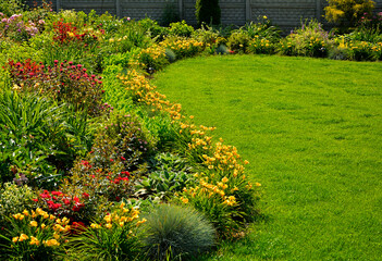 kolorowa rabata kwiatowa otoczona niskimi liliowcami odmiany Stella d'Oro, kwietnik otoczony obwódką z żółtych liliowców, Hemerocallis, Stella D'Oro Daylily Garden, ogród kwiatowy, flowers garden
