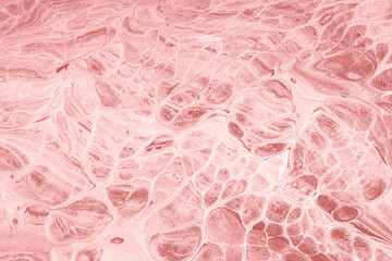 Fototapeta premium Fluid and Organic Pink Latte Color Abstract Background for Unique Designs