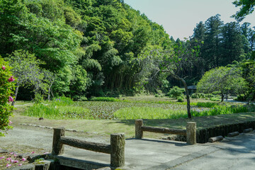 庭園