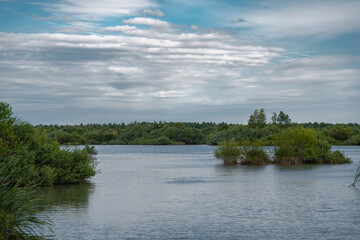 Summer landscape with a delta and a quiet lake reflecting a willow in the water. Natural habitat for numerous wild species in the environment. The wonderful green nature in all its splendor