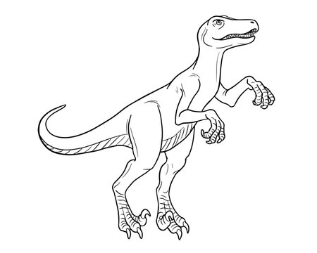 recommend clip art: Vector line art illustration of dinosaur Raptor. Black and white outline.