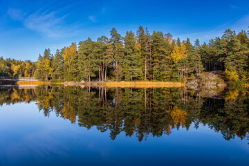 Autumn trees reflected on the water