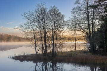 Trees in front of fog on the lake