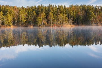 autumn trees reflected in lake