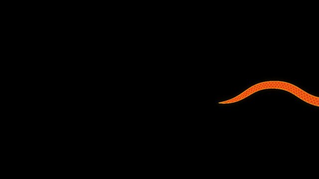 Animation of a traditional Chinese snake flying along the frame, space for text in Chinese style for 2025 New Year greetings, Chinese New Year celebration. Red serpent snake on black and green screen