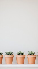 Fototapeta premium Lush green potted plants displayed on a clean white shelf creating a serene and modern home decor aesthetic
