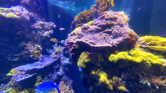 Les poissons