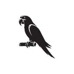 Parrot silhouette vector design art illustration