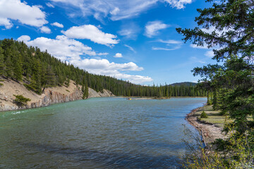 Canadian Rockies Jasper National Park landscape background. Athabasca River in summer. Alberta, Canada.