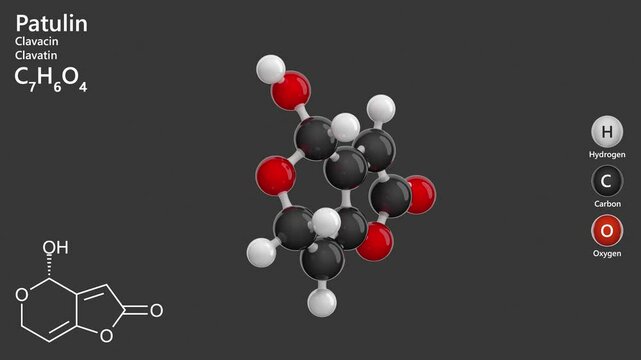 Patulin or Clavatin. Mycotoxin. Animated 3D model of a molecule. Molecular formula: C7H6O4. Chemical model: Ball and stick. Gray background. 3D rendering. Seamless loop.