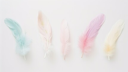 Pastel colour feather abstract background offers a soft and dreamy aesthetic. A captivating blend of colors and textures that evokes a sense of tranquility.