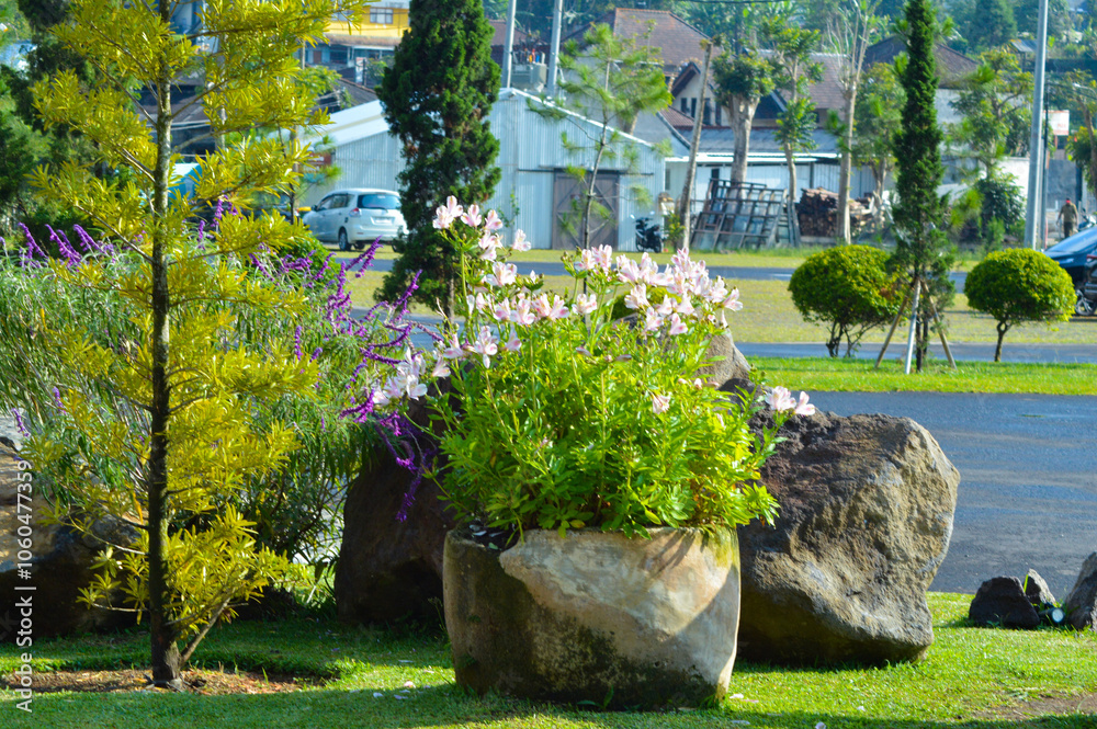 Wall mural A vibrant garden features blooming pink and purple flowers surrounded by lush green foliage. The scene is set against a backdrop of trees and distant houses, creating a picturesque view