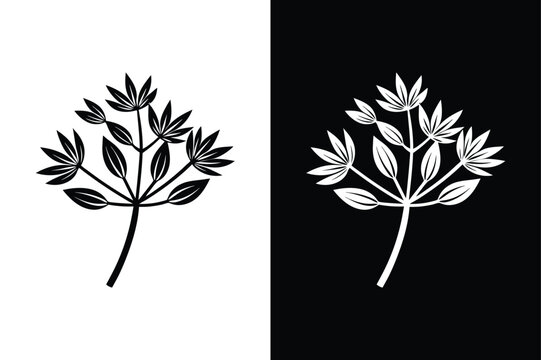 Caraway vegetable fennel seed icon on White Background Vector Art Illustration on white background.
