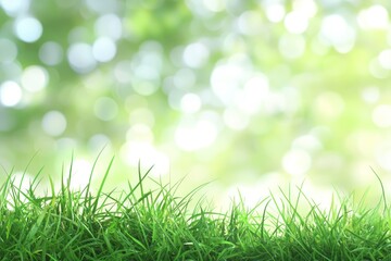 Fototapeta premium Fresh Green Grass with Soft Blurry Background