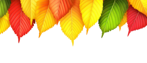 Colorful autumn leaves in a vibrant arrangement showcasing the changing seasons and nature's beauty against a transparent background