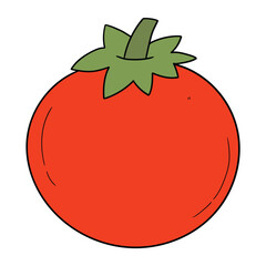 Hand drawn cartoon red tomato on white background.