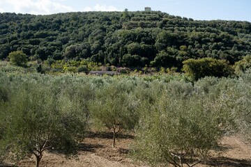 tour through Greece`s beautiful nature