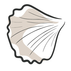 Hand drawn line art vector of Sea shells. Crustacean doodle