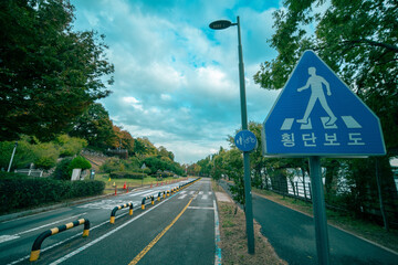 횡단보도 공원 길 