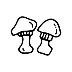 Mushrooms, forest harvest. Autumn. Doodle.Vector illustration. Hand drawn. Outline.
