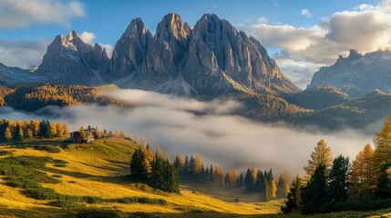 Fototapeta premium Beautiful landscape with fog and low clouds on mountain range and forest 
