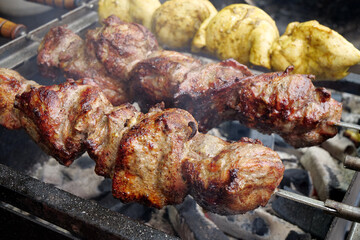 Grilled meat. Shish kebabs broils in barbecue
