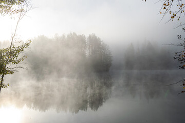 Morgennebel am See