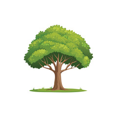 A tree with a white background and a drawing of a tree with the words tree on it