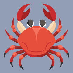 red crab on white background