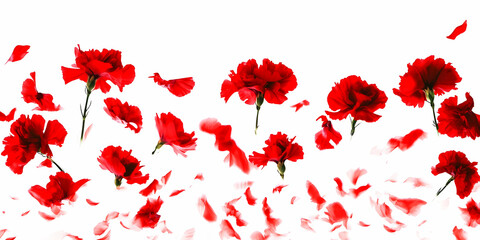 A vibrant display of red flowers with scattered petals against a white background.