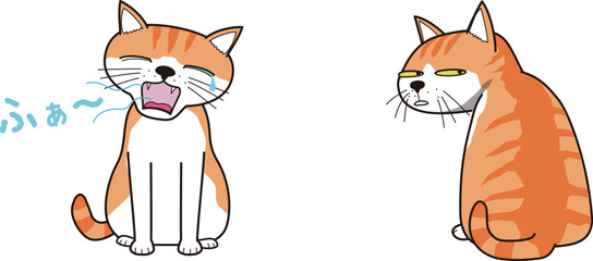 あくびをする猫と、横目で見る猫(茶トラ)