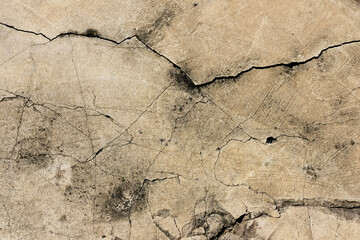 Fototapeta premium cracked texture