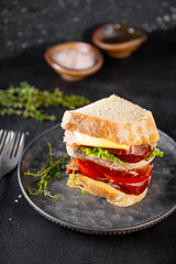 Large sandwich with cold meat, tomato and cheese sauce vertical photo