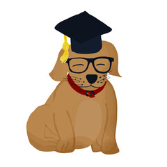 Ilustração Vetorial caricatura, animais, educação, ave, vector, educar, ilustração, universidade, chapéu, bonito, estudante, graduado, professor, caracter, livro, formatura, ensino médio, aprender, es