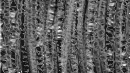 Ilustração Vetorial textura, madeira, muro, modelo, natureza, árvore, abstracto, inverno, velho, áspero, gelo, superfície, branco, cinza, neve, cinza, noir, textura, de madeira, arborizar, close up, f