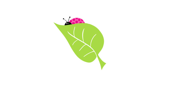 Ilustra&ccedil;&atilde;o Vetorial folha, natureza, planta, isolado, macro, inseto, cercar, close up, primavera, molhar, ver&atilde;o, flora, cadeia alimentar, &aacute;rvore, branco, vector, joaninha, bichinho de estima&ccedil;&atilde;o, close