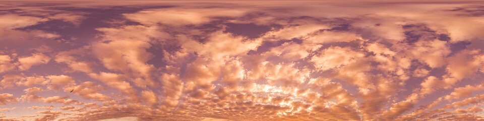 Sunset sky with bright glowing pink Cumulus clouds. Seamless spherical HDR 360 panorama. Full zenith or sky dome in 3D, sky replacement for aerial drone panoramas. Climate and weather change.