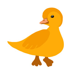 SS_habbit_spring pato, ave, caricatura, animais, vector, amarelo, ilustração, patinho, bebé, brinquedo, isolado, divertimento, bico, molhar, revestir com borracha, bonito, natureza, banho, cômico, gal