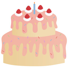 birthday cake with candles