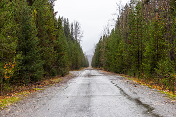 Rainy Autumn Road Through Forest in British Columbia, Canada