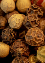 Mixed Pepper close up. Spices for Cooking. Peppercorns Close-Up, Texture , Macro.