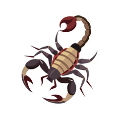 Obraz premium Vector drawing of a scorpion
