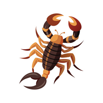 recommend clip art: Vector drawing of a scorpion