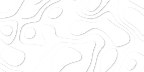 Abstract White paper cut background with lines. Topographic map in contour line light topographic topo contour map. white line drawing geometric paper art design. 3d papercut decoration textured. maps