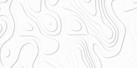 Fototapeta premium Abstract White paper cut background with lines. Topographic map in contour line light topographic topo contour map. white line drawing geometric paper art design. 3d papercut decoration textured. maps