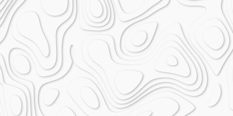 Abstract White paper cut background with lines. Topographic map in contour line light topographic topo contour map. white line drawing geometric paper art design. 3d papercut decoration textured. maps