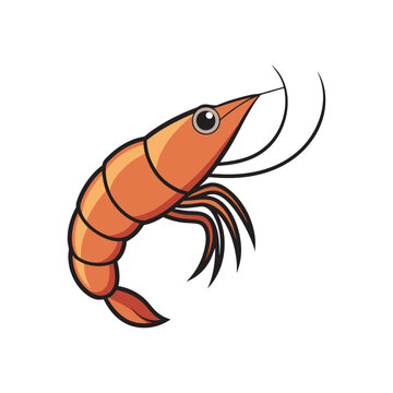 orange shrimp cartoon on white background clip art preview