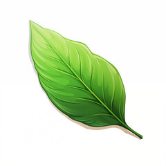 A vibrant green cartoon leaf against a clean white background highlights its detailed veins
