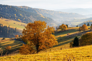 Fototapeta premium Autumn Landscape with Rolling Hills