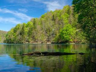 Die Plitvicer Seen in Kroatien / Nationalpark